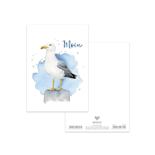 Postkarte "Seemöwe"
